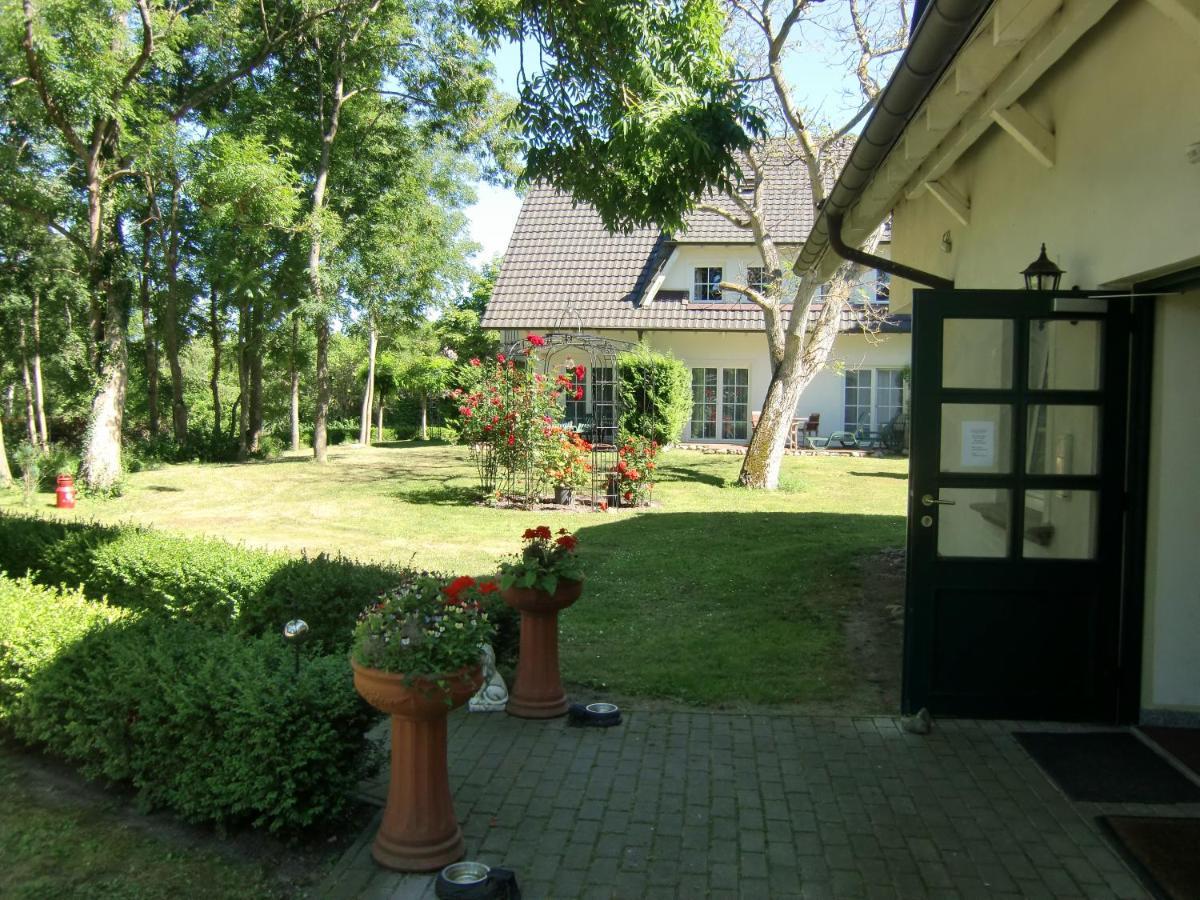 Auszeit Auf Rugen Haus Nr. 8 Lägenhet Nardevitz Rum bild